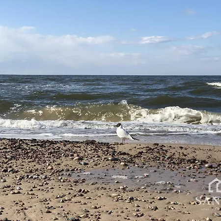 Forest Bay Z Basenem Krytym Calorocznym-pobierowo Baltic Apartments- Sannel For Rent Apartment Pobierowo
